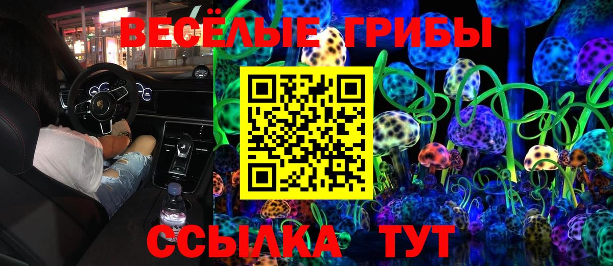 Галлюциногенные грибы MAGIC MUSHROOMS  Вход с VPN  Кострома  Псилоцибиновые грибы GOLDEN TEACHER 